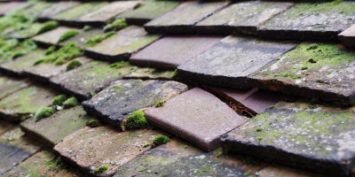 Caergeiliog roof repair costs